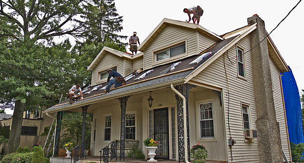 Roof Gutter Cleaning in Pequot Lakes, MN