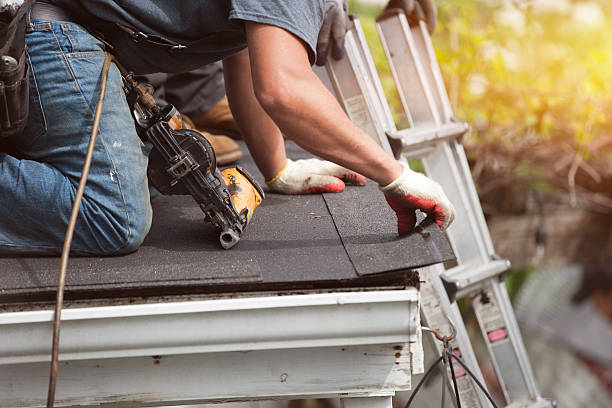 Best Roof Gutter Cleaning  in Pequot Lakes, MN