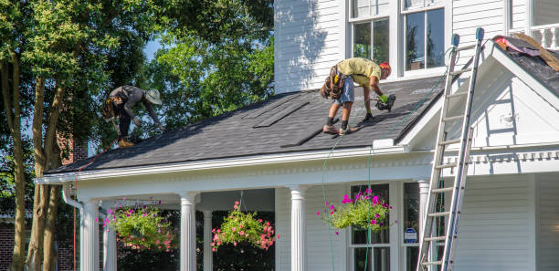 Roof Installation Near Me in Pequot Lakes, MN