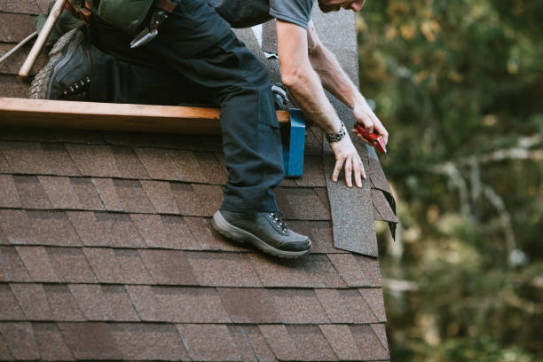 Best Storm Damage Roof Repair  in Pequot Lakes, MN
